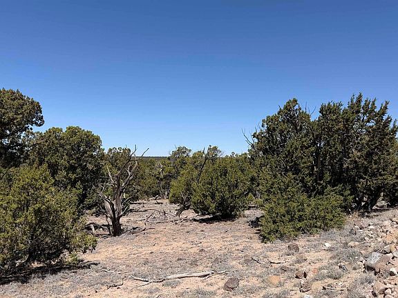 2nd image of Pima Dr