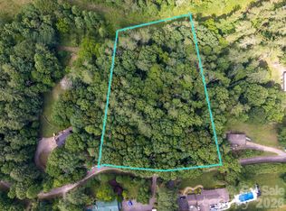 99999 Paramount Dr, Leicester, NC 28748