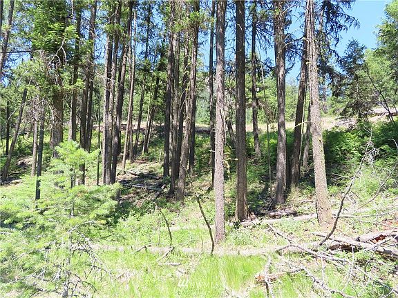 5th image of 0 TBD Blissful Trails Lane