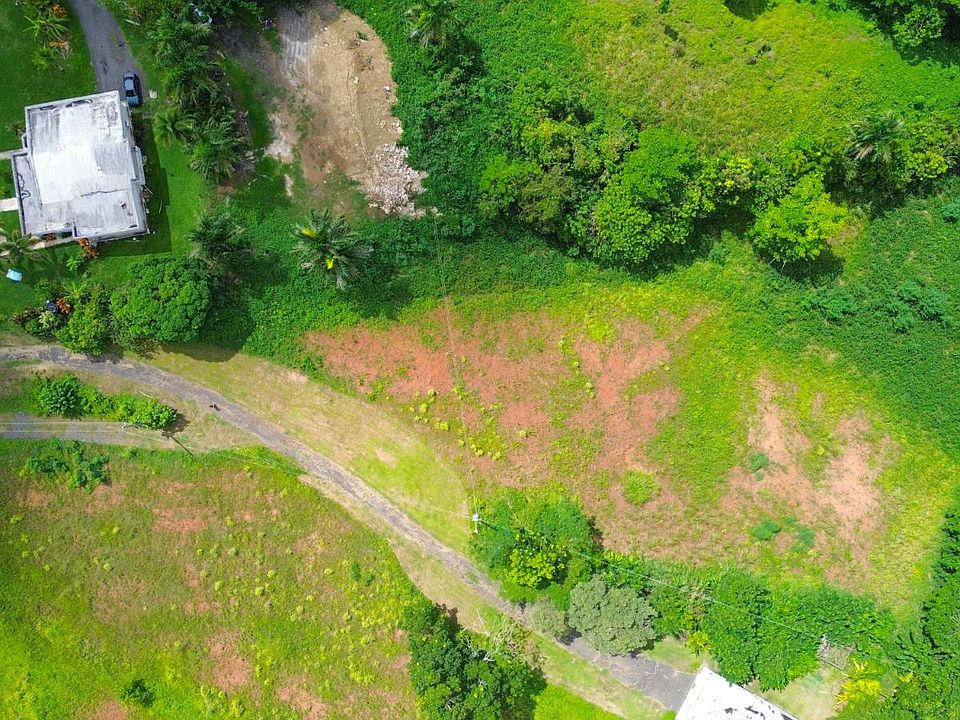 1st image of Dos Bocas