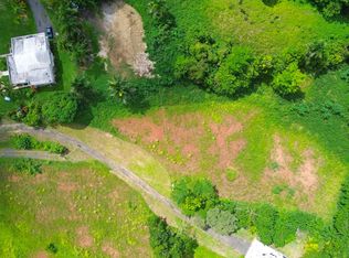 Dos Bocas, Corozal, PR 00783