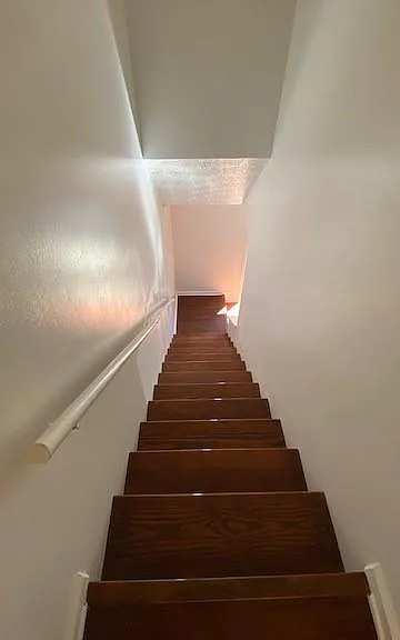 5032 Top Cat Ct — Photo 17