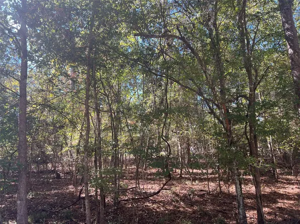 LOT 100 Rio Vis, Livingston, TX 77351