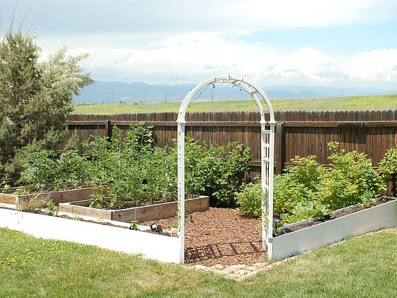 Irrigated garden