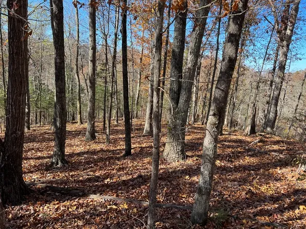 0 Old Highway 53, Celina, TN 38551