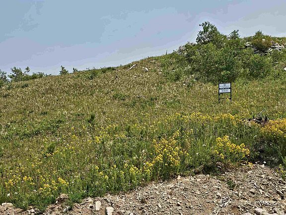 3rd image of 20930 Majestic Heights Rd