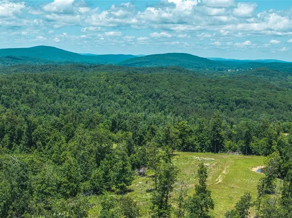 0 Wayne Rte N #380, Patterson, MO 63956