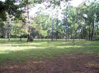 6218 S Canna Lily Ave, Homosassa, FL 34446