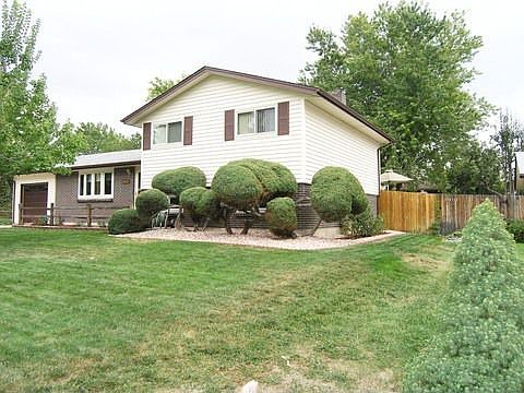 Juniper bushes lining home