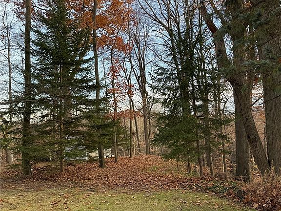 4th image of 5024 Dorset Dr