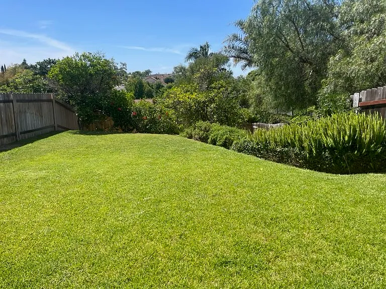 2415 Levante St — Photo 21
