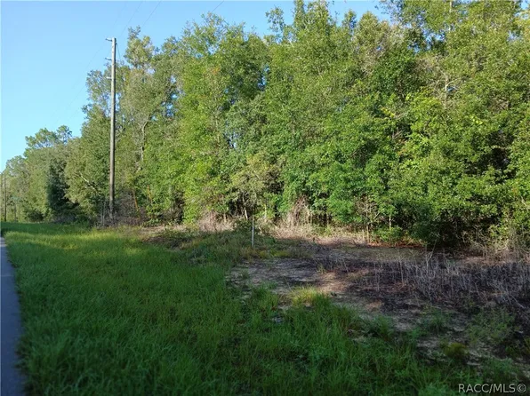 10762 N Academy Dr, Citrus Springs, FL 34434