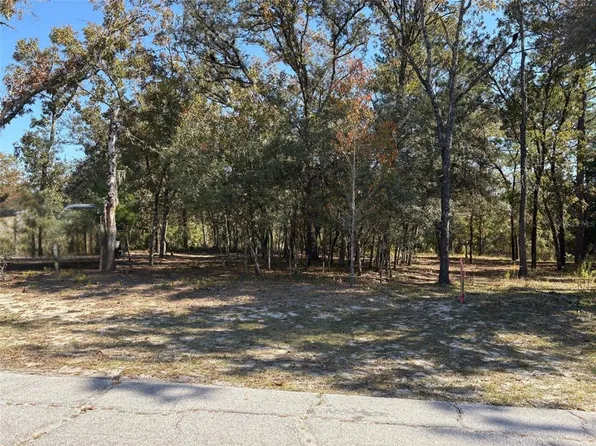 10079 N Ruth Ter Lot 7, Dunnellon, FL 34434
