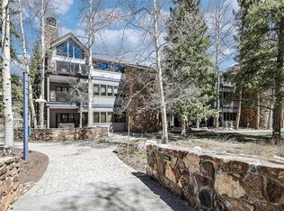 1203 W Keystone Rd APT 2710, Dillon, CO 80435