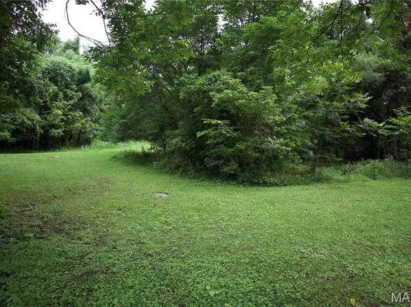482 E Davidson Ave, Chaffee, MO 63740