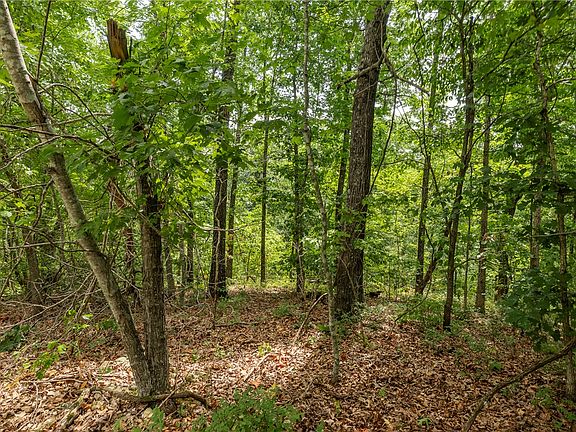 2nd image of Cullen Hills Dr #5