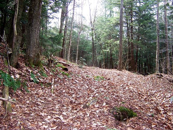 potential building site 