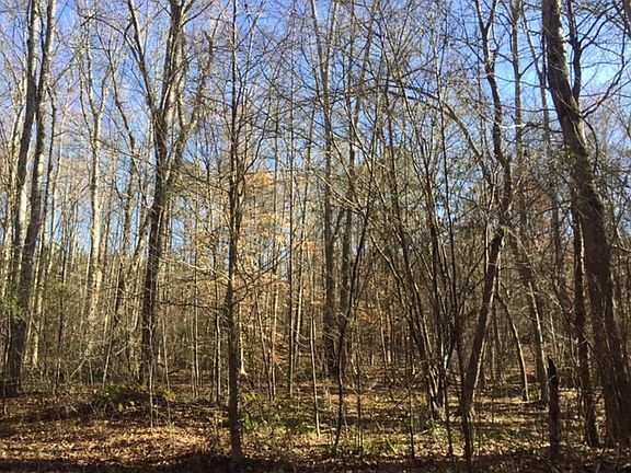4th image of 1050 County Road 16