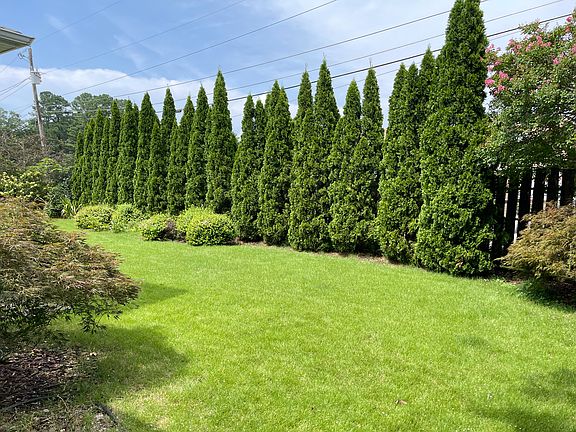 Professionally landscaped back yard.