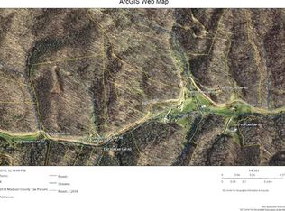 99999 Poplar Gap Rd, Hot Springs, NC 28743