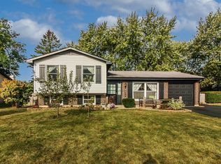 8230 N Carrolton Ct, Hanover Park, IL