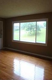 3rd image of 1904 Pinebrook Dr
