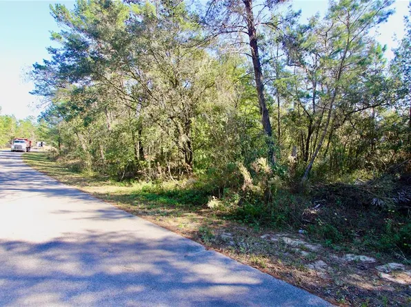 SW Fisher Crse Lot 11, Ocklawaha, FL 32179