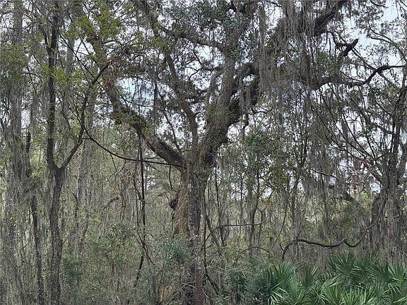 5th image of 6001 Frederica Rd