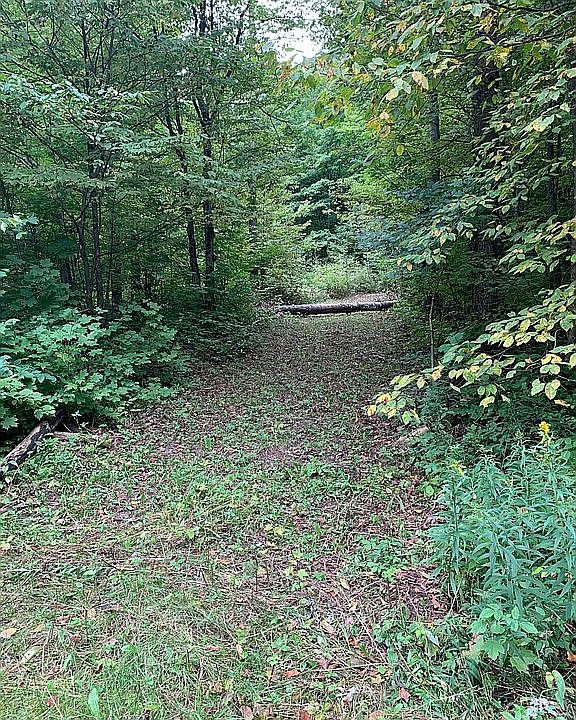 1st image of Lot 631 Shadyhurst
