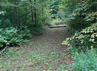 Lot 631 Shadyhurst, Mancelona, MI 49659