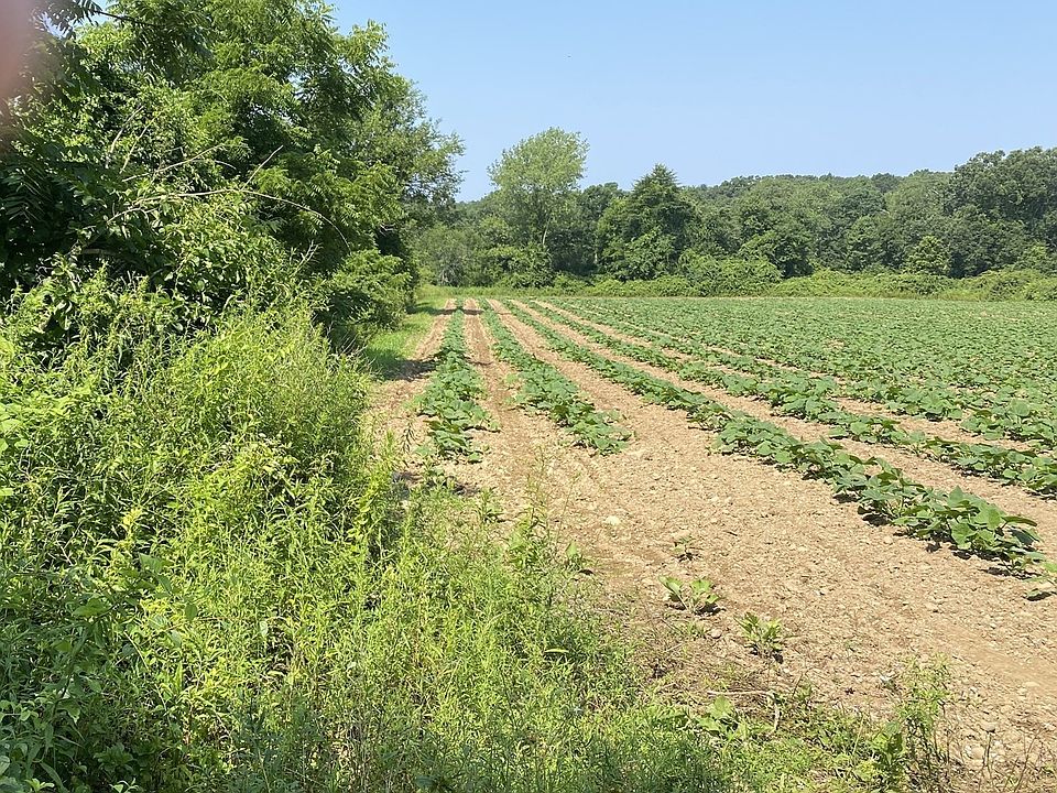 2nd image of 256 Pine St Lot 4
