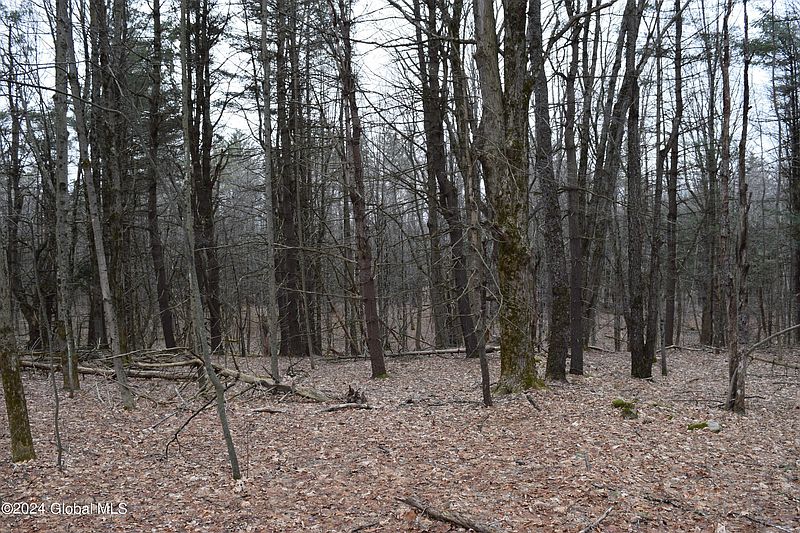 4th image of L4.11 Westfall Road