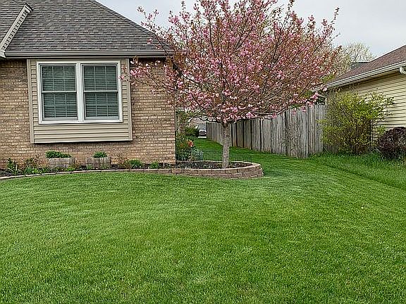 Front yard blooming tree