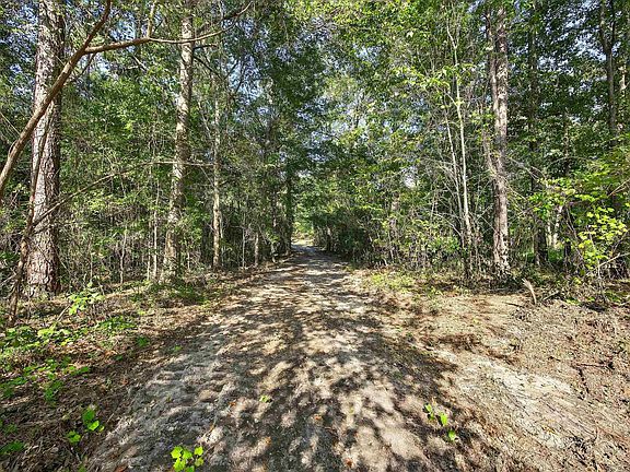 5th image of 0 Juniper Springs Rd Parcel A