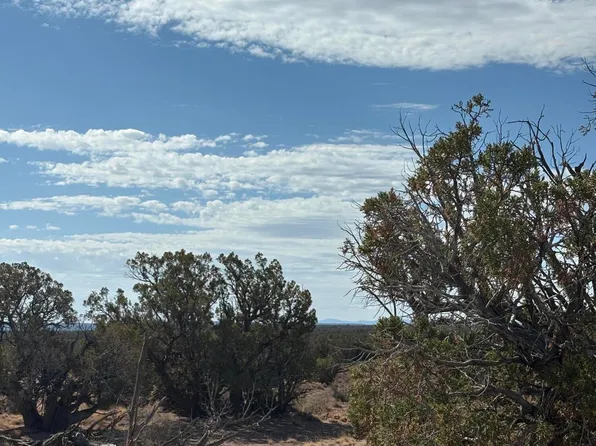 8580D Lawson Ln, Snowflake, AZ 85937