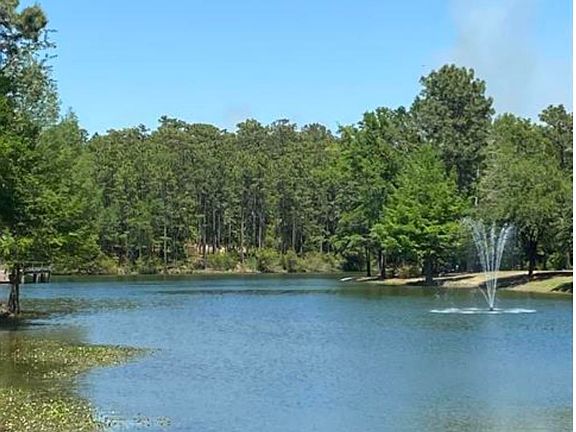 3rd image of 43 Shady Ln Lot 43