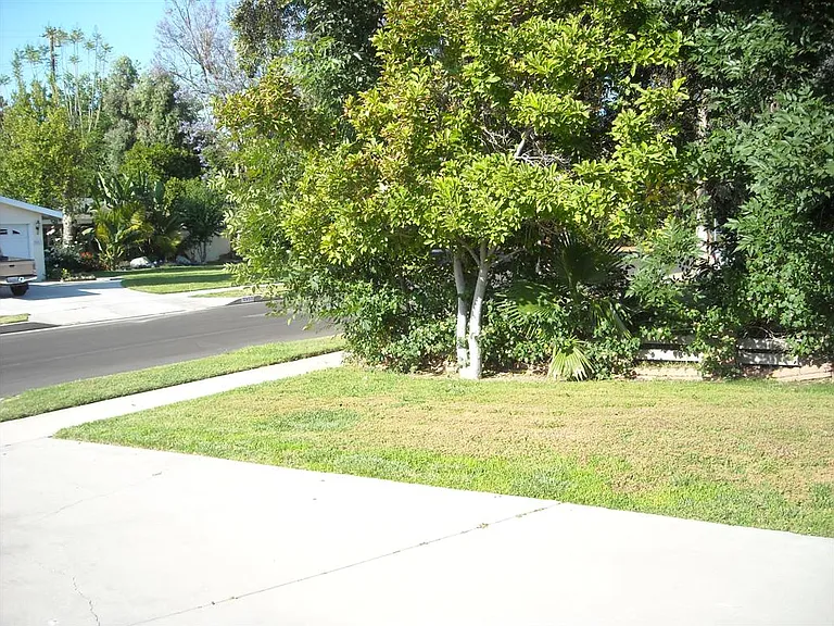 Napa St — Photo 20