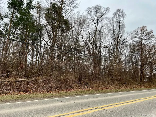 0 Silver Lake Rd, Linden, MI 48451