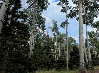 LOT 3054 Forbes Rd, Fort Garland, CO 81133