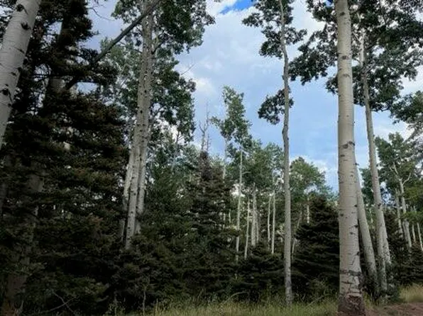 LOT 3054 Forbes Rd, Fort Garland, CO 81133