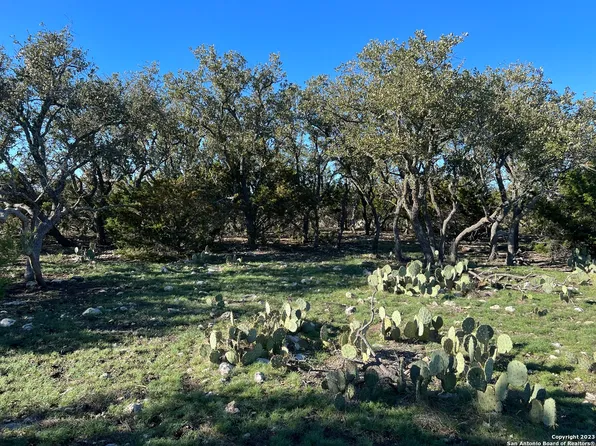 1204 SD 20130, Rocksprings, TX 78880