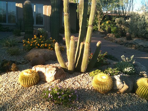 New landscaping front & back