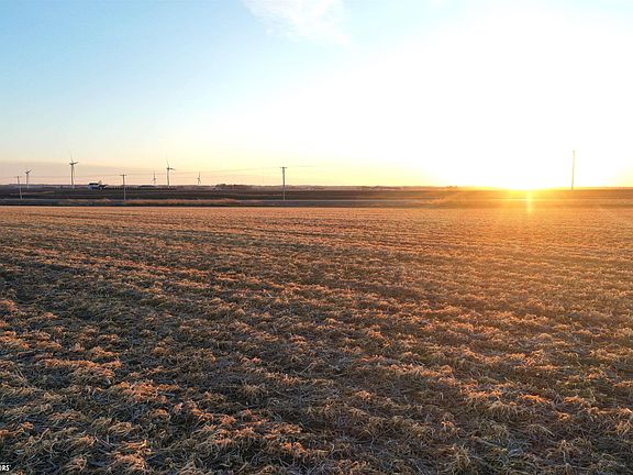 5th image of Cameo Rd