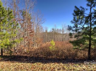 394 Lakeview Trl #430, Nebo, NC 28761