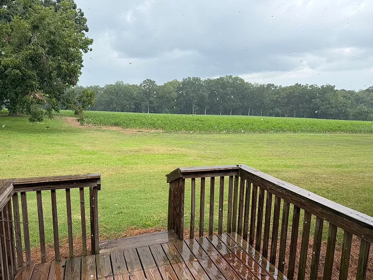 521 Ty Ty Sparks Rd — Photo 11