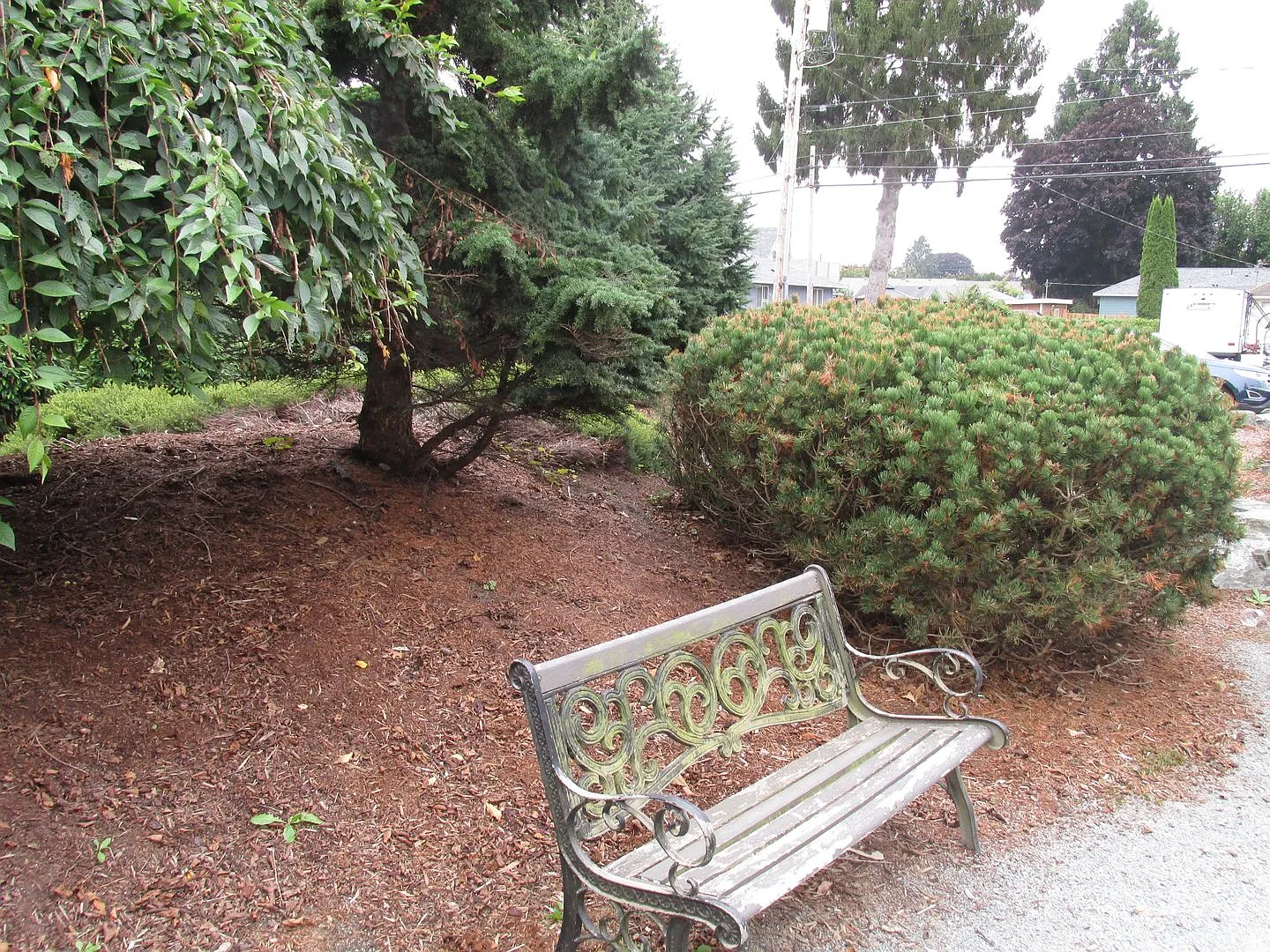 Pine Street, N. 330 — Photo 3