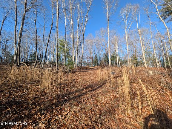 4th image of Catoosa Woods Dr