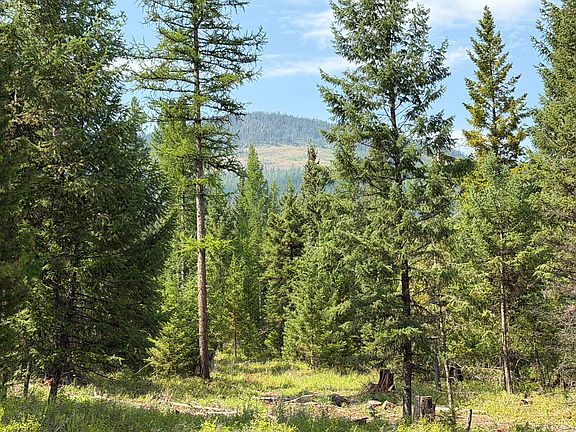 4th image of 517 Haskill Ranch Rd