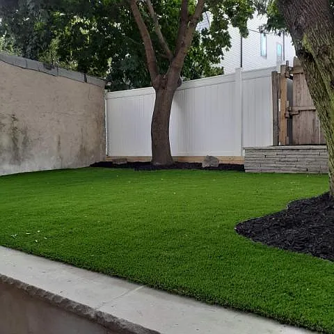 65 Thorne St — Photo 6