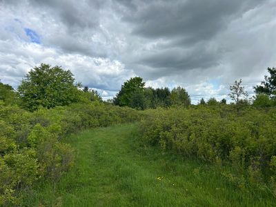 135th Ave, Turtle Lake, WI, 54889